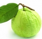 Guava