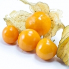 Goldenberry