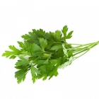 Coriander (Sorted & Washed)